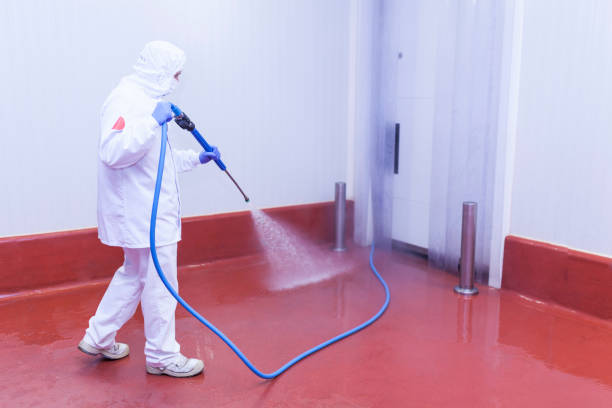 Boat and Dock Cleaning in Glencoe, AL